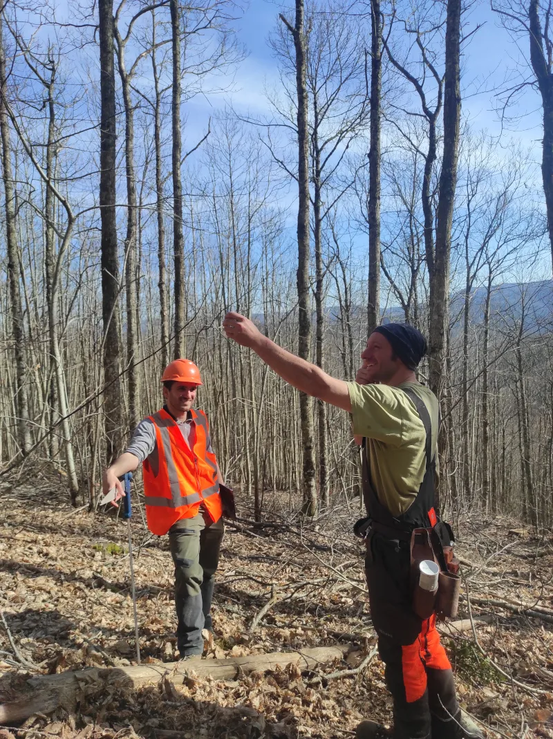 Premier chantier d'éclaircie